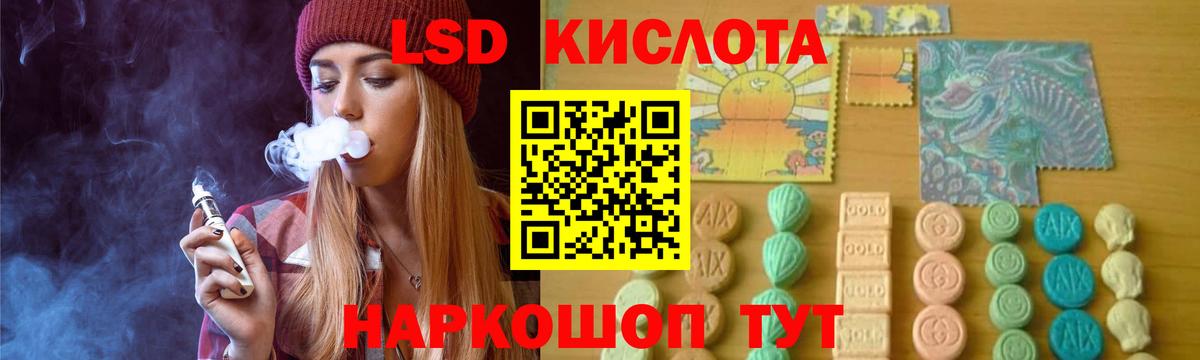 Псилоцибиновые грибы Ярцево