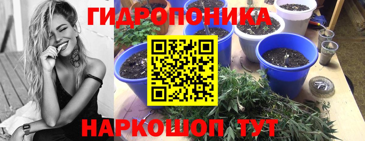 Бошки Шишки планчик  Бошки марихуана AK-47  Бошки марихуана LSD WEED  Ярцево  Вход с VPN 